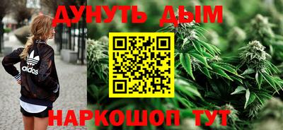 каннабис Новодвинск