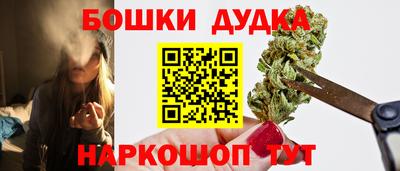 спиды Новозыбков