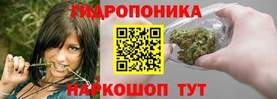 каннабис Новодвинск