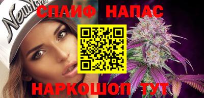 спиды Новозыбков