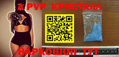 спиды Новозыбков