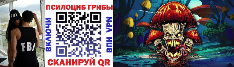 Псилоцибиновые грибы MAGIC MUSHROOMS  blacksprut tor  Улан-Удэ 