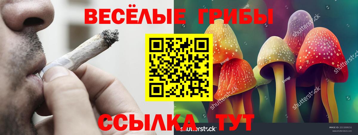 Галлюциногенные грибы Magic Shrooms  Вход с VPN  Улан-Удэ 